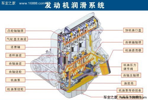 金雷股份 (300443)