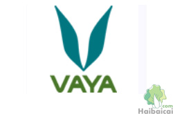 Vayalife美国不锈钢餐盒品牌网站