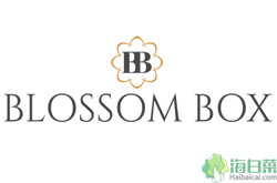 Blossom-box德国永生花干花束海淘网站