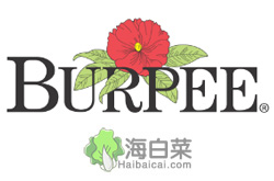 Burpee美国蔬菜种子购物网站